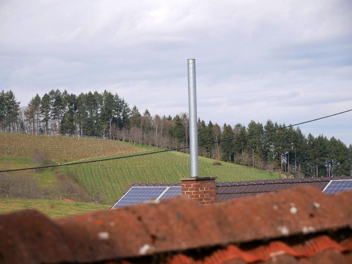 Ferienwohnung Obere Alm Oberkirch  Esterno foto
